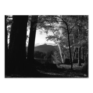 Impression Photo Bouleau blanc dans un coucher de soleil de Chocoru