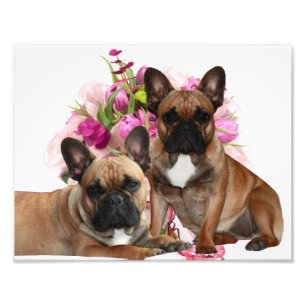 Impression Photo Bouledogue français fleurs célébration Bouledogue 