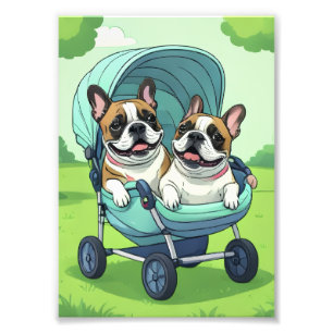 Impression Photo Bouledogue français jumeaux Bulldogue français