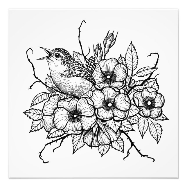 Impression Photo Bouquet Wren (Devant)