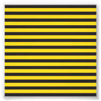Bourdon Noir Jaune Lignes Horizontales Abeille à B