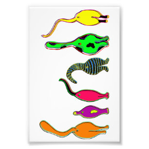 Impression Photo Boutons de chat colorés