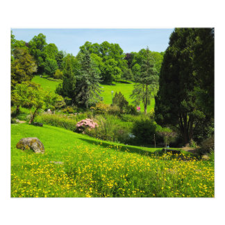 Impression Photo Boutons d'or