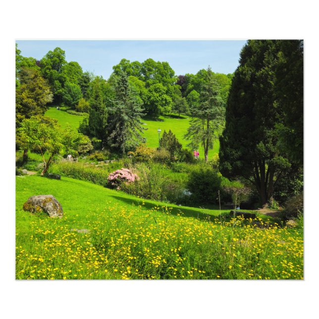 Impression Photo Boutons d'or  (Devant)