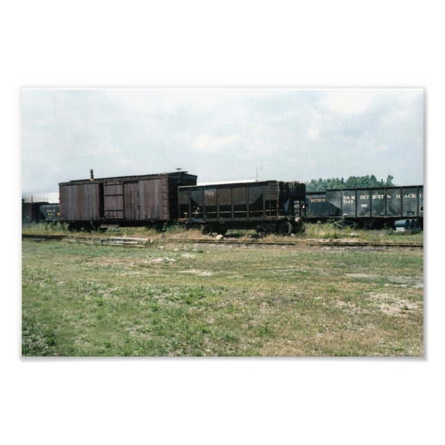 Impression Photo Boxcars Detroit et Mackinac Vintage Railroad (Devant)