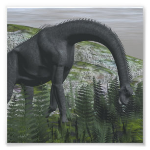 Impression Photo Brachiosaurus dinosaure mangeant fougère - rendu 3