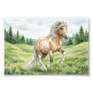 Impression Photo Brana Pinto Palomino Aquarelle islandaise