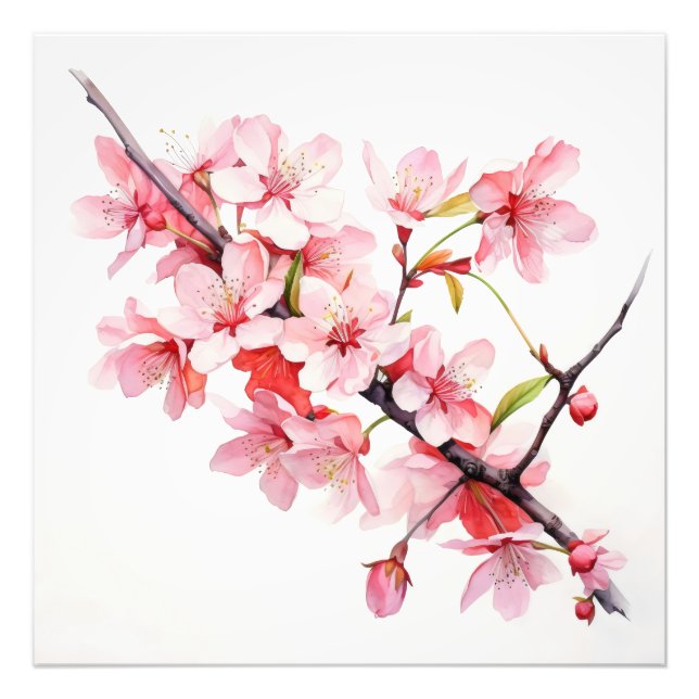 Impression Photo Branche de fleurs de cerisier (Devant)