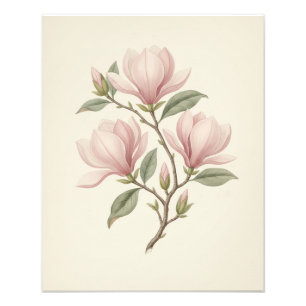 Impression Photo Branche de Magnolia Antique Vintage Élégante Art V