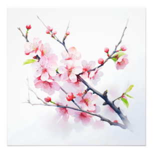 Impression Photo Branche Fleurs de cerisier rose