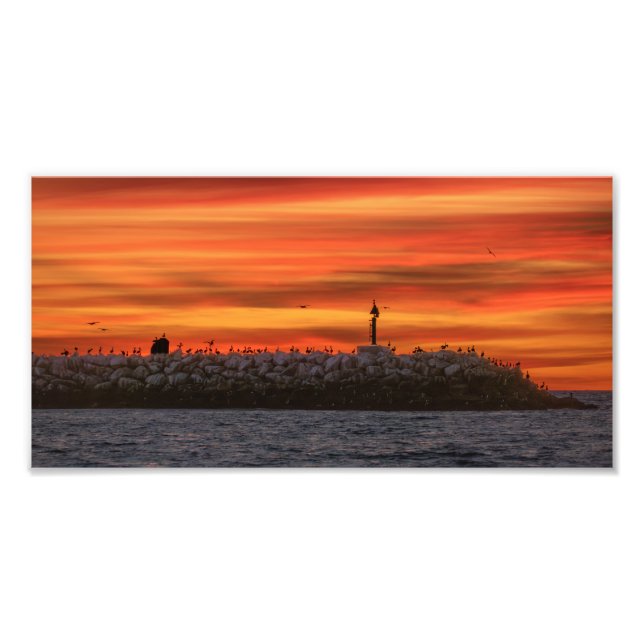 Impression Photo Breakwall with Pelicans - Marina Del Rey, CA (Devant)