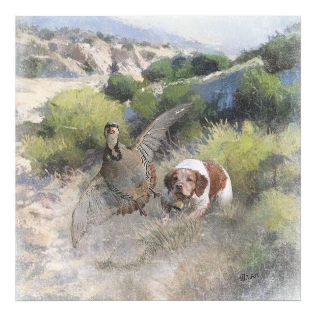 Impression Photo Bretagne Espagnol chasse perdrix chukar, Art (Devant)