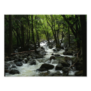 Impression Photo Bridalveil Creek à Yosemite National Park