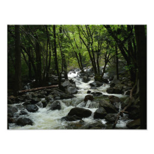 Impression Photo Bridalveil Creek dans le parc national de Yosemite