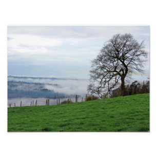 Impression Photo Brouillard matinal