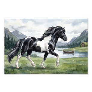 Impression Photo Brunskjottur Black pinto islandais