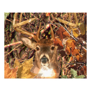 Impression Photo Buck in Camouflage White Tail Deer