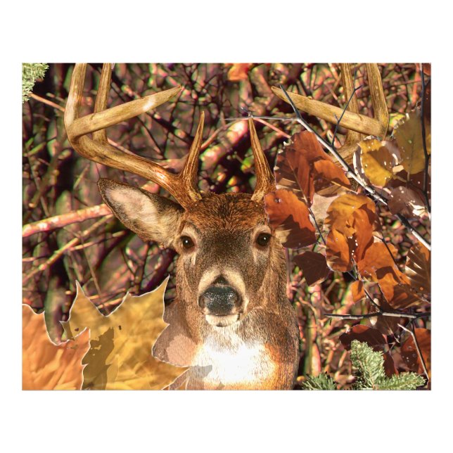Impression Photo Buck in Camouflage White Tail Deer (Devant)