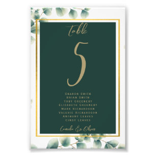 Impression Photo BUDGET Numéro de tableau Siège Verdure Eucalyptus