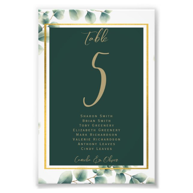 Impression Photo BUDGET Numéro de tableau Siège Verdure Eucalyptus (Devant)