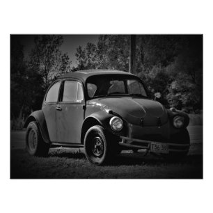 Impression Photo "Bug Busted"