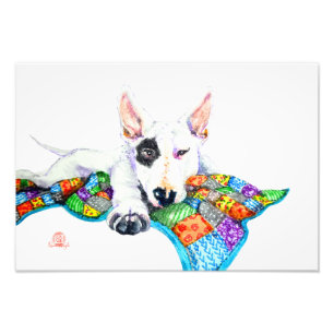 Impression Photo Bullterrier blanc sur Patchwork - Art