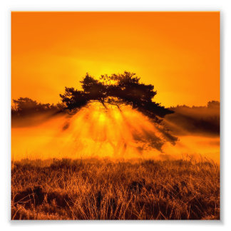 Impression Photo Bush en feu