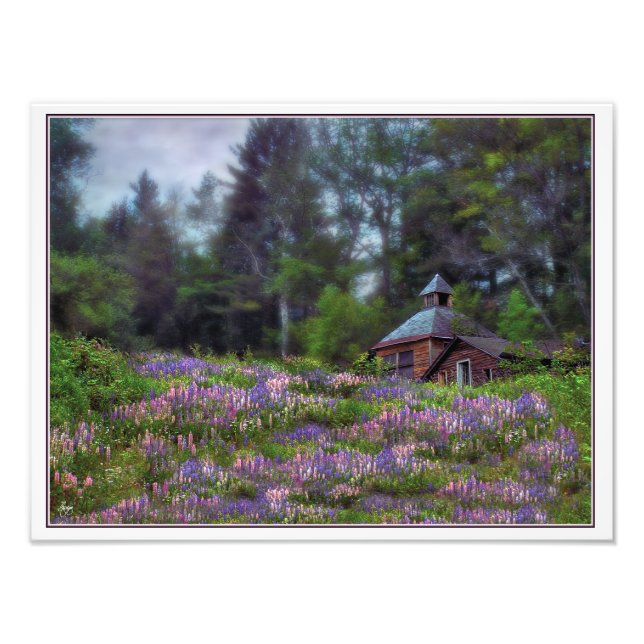 Impression Photo Cabine dans la Numériquement Lupine paraphé Open E (Devant)