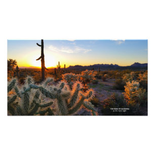 Impression Photo Cactus avec coucher de soleil Arizona Superstition