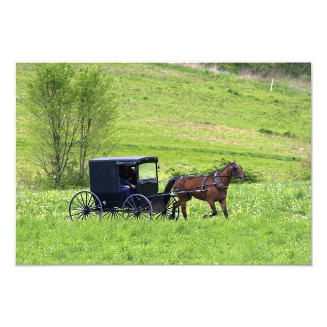 Impression Photo Caleship Amish et buggy près de Berlin, Ohio. (Devant)