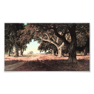 Impression Photo California Ranch par William Keith (Modifié)