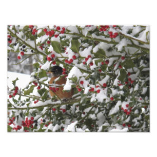 Impression Photo cambriolage dans un arbre saint après une neige