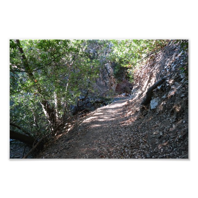 Impression Photo Camping Bear Canyon (Devant)