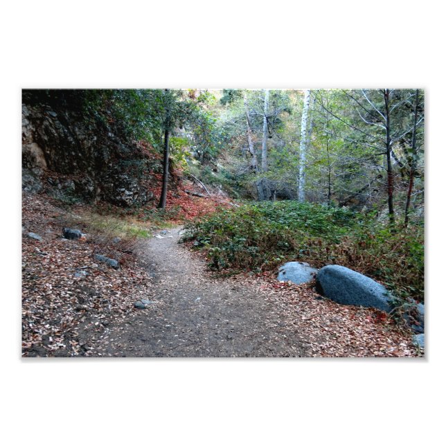 Impression Photo Camping Bear Canyon (Devant)