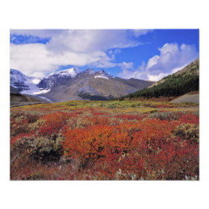Impression Photo Canada, Alberta, Parc national de Banff. Les airel