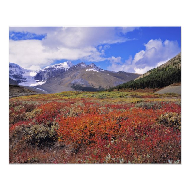 Impression Photo Canada, Alberta, Parc national de Banff. Les airel (Devant)