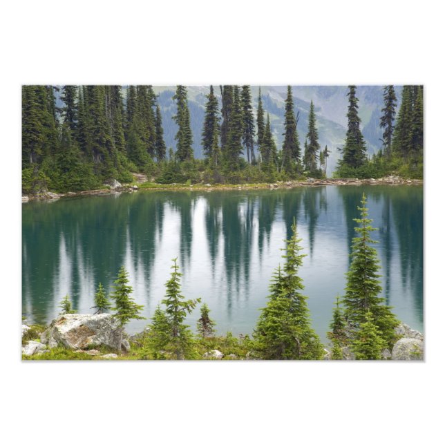 Impression Photo Canada, Colombie-Britannique, Revelstoke National (Devant)
