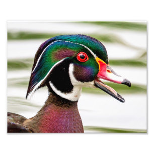 Impression Photo Canard en bois