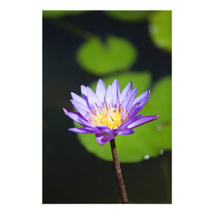 Impression Photo Cancun, Mexique