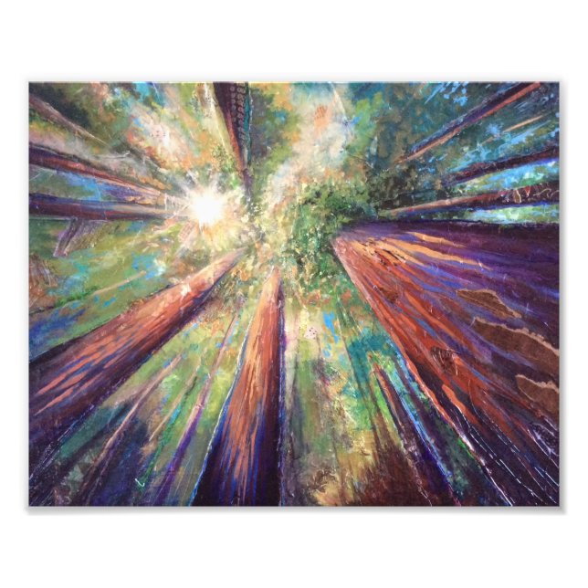 Impression Photo Canopée Redwood (Devant)