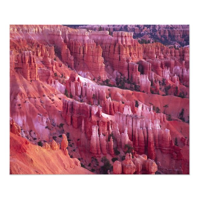 Impression Photo Canyon Bryce, Utah, États-Unis (Devant)