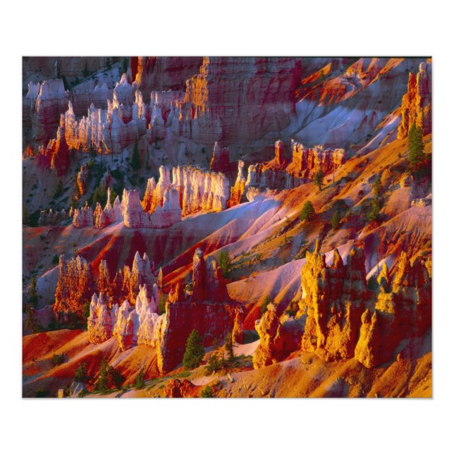 Impression Photo Canyon Bryce, Utah, États-Unis 2 (Devant)