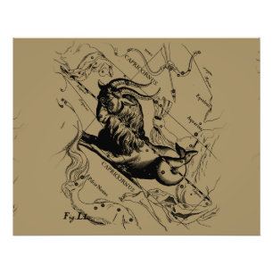 Impression Photo Capricorne Constellation Hevelius 1690 sur Taupe