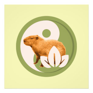 Impression Photo Capybara Zen Yin Yang Nature Paisible