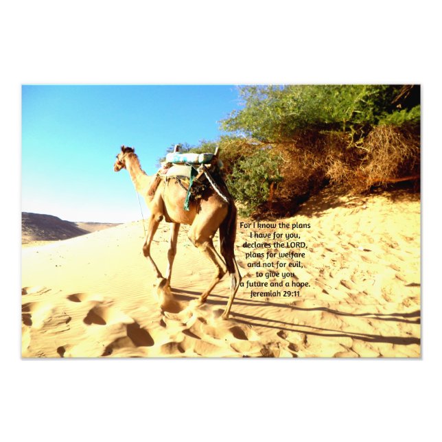 Impression Photo Car je connais les plans que j'ai .... Jérémie 29: (Devant)