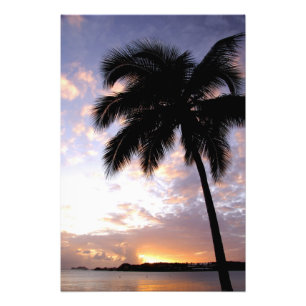 Impression Photo Caraïbes, Îles Vierges américaines, St.Thomas, 6