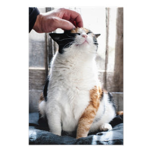 Impression Photo Caresses