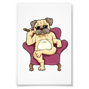 Impression Photo Carlin Fumer Cigar Chien Carlin vraiment Cool