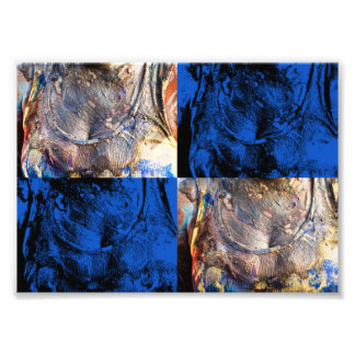 Impression Photo carnivest