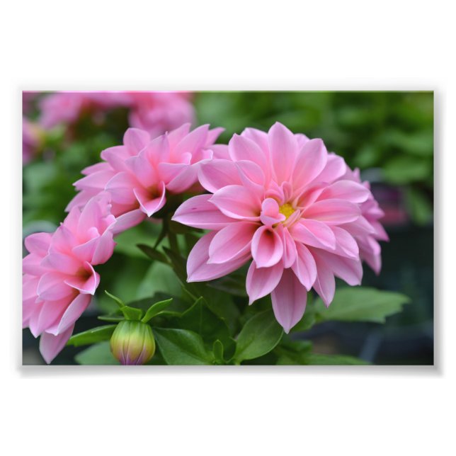 Impression Photo Carte postale pour elle (Devant)